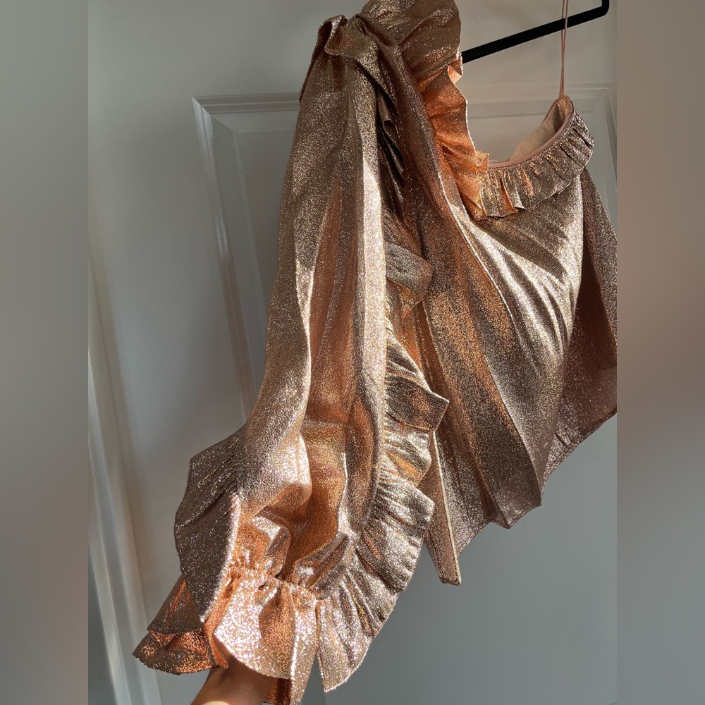 Ulla Johnson One Shoulder Ruffle Top - Picture 7 of 11
